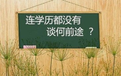 成都领孚教育咨询有限公司